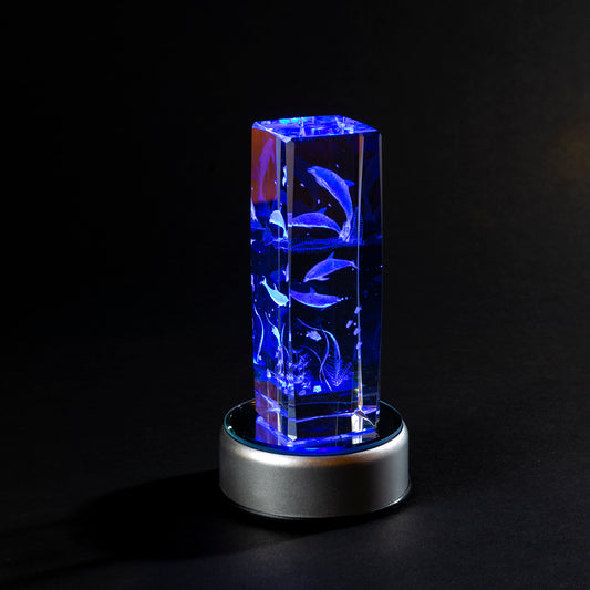 Laser Cube - Dolphin Play