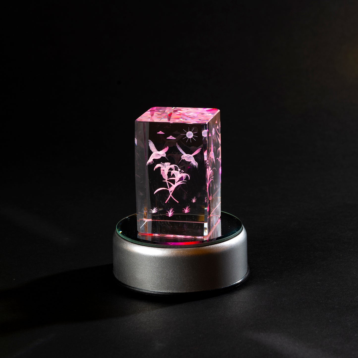 Laser Cube - Hummingbirds