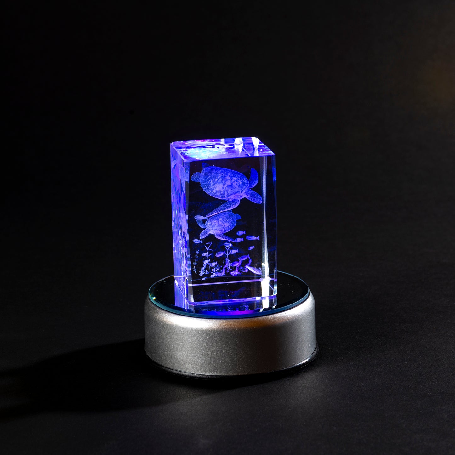 Laser Cube - Sea Turtles